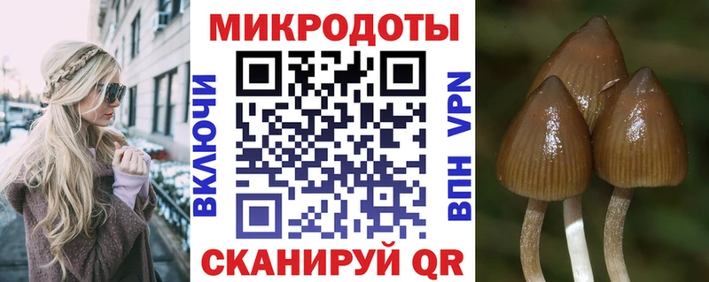 Галлюциногенные грибы MAGIC MUSHROOMS  ОМГ ОМГ ссылка  Белозерск  продажа наркотиков 